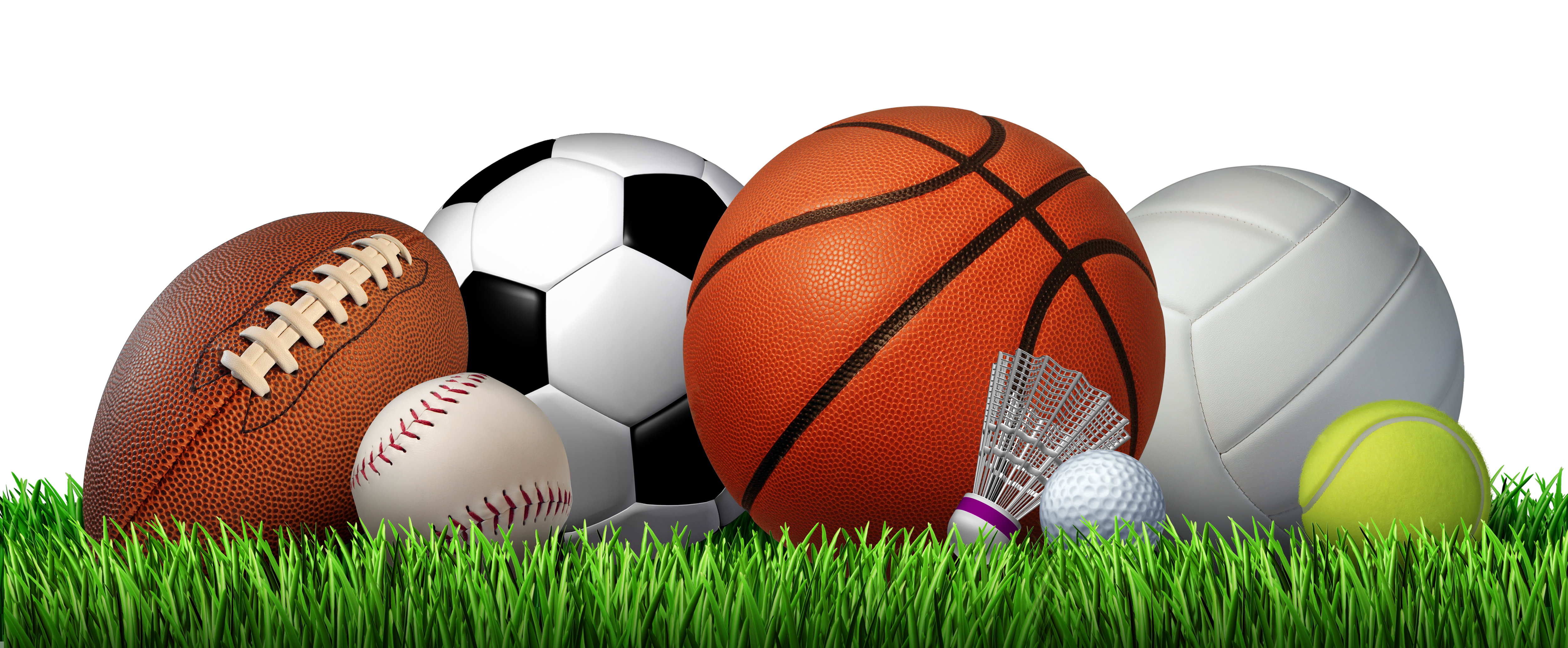 Career Promise in Specialized Sports Management Courses